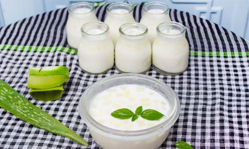 Thành phẩm cuối cùng sữa chua dẻo kết hợp nha đam